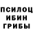 Галлюциногенные грибы GOLDEN TEACHER Inna Vadik