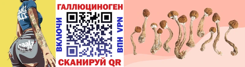 Купить где  Ладушкин  Галлюциногенные грибы MAGIC MUSHROOMS 